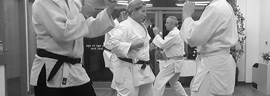 Basic adult jujutsu training