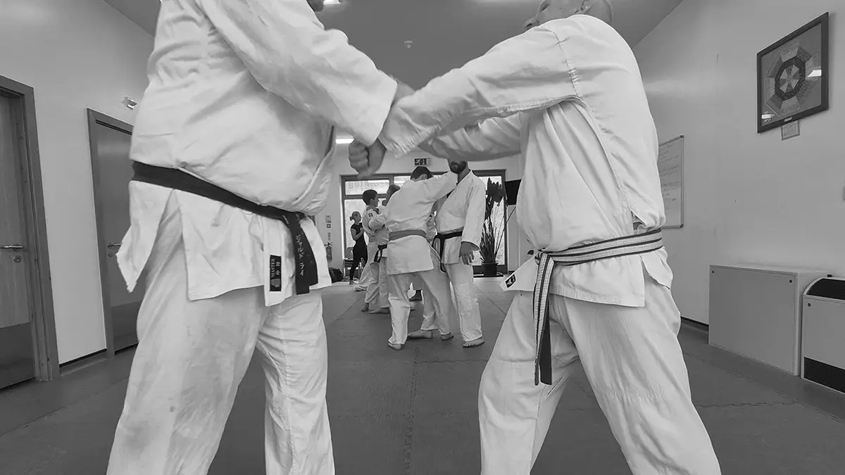 This image shows several adult Satorikan Jujutsu students training in the Saltash dojo.
